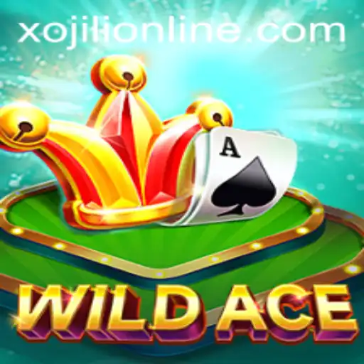 WildAce: The Exciting World and Rules of Xojili's Latest Adventure